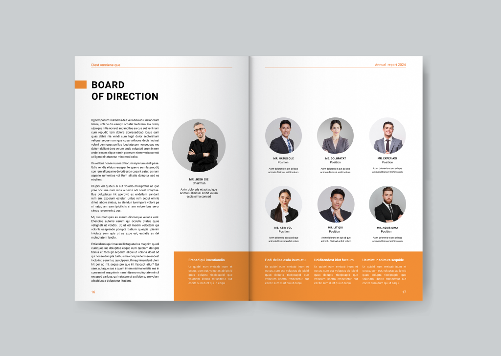 Annual report template