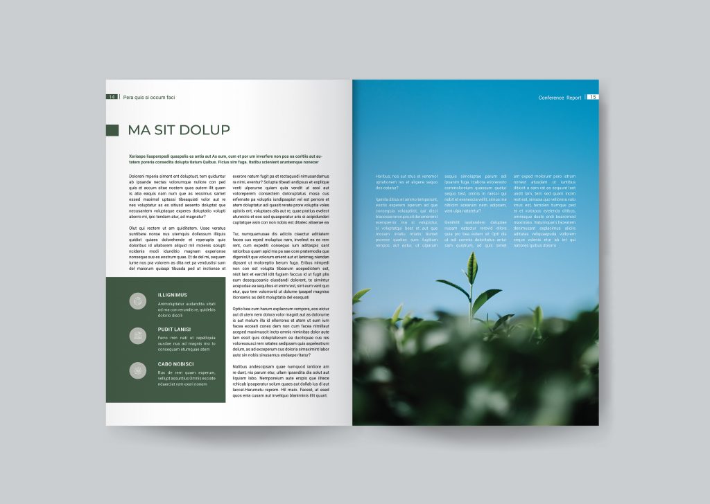 Business Report template