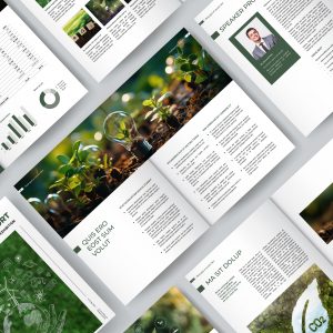Indesign Business report Template | NZenINDD02